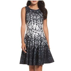 Eliza J Black and White Ombre Speckle Ponte Fit & Flare Dress, Size 6